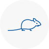 Mice Exterminators In Docklands